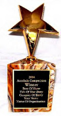 Accolade Award of Excellence Winner: Graffiti Verite' 5: The Basic Elements of Hip-Hop - Category Arts / Cultural